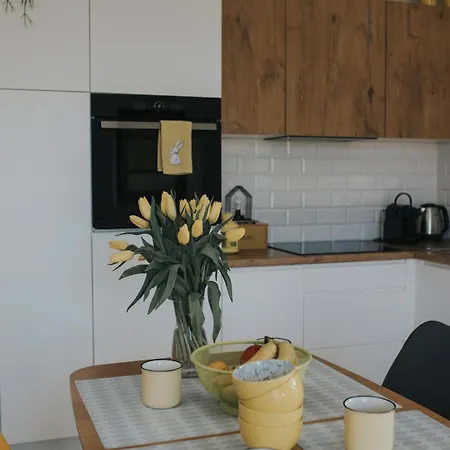 Apartman Dom Na Wydmach Debina